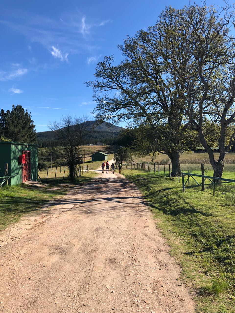 ead794f4-0cea-44f4-9530-17cf341c601e